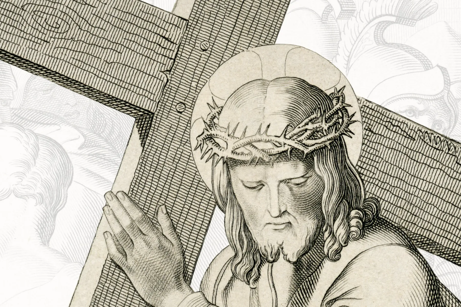 Zapomenutá cesta-1920×800-v1 (1)